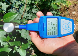 Dualex便攜式氮平衡-葉綠素-花青素-黃酮醇測(cè)量?jī)x